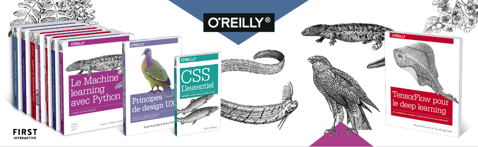 Amazon.fr - Le Machine learning avec Python: collection O'Reilly ...