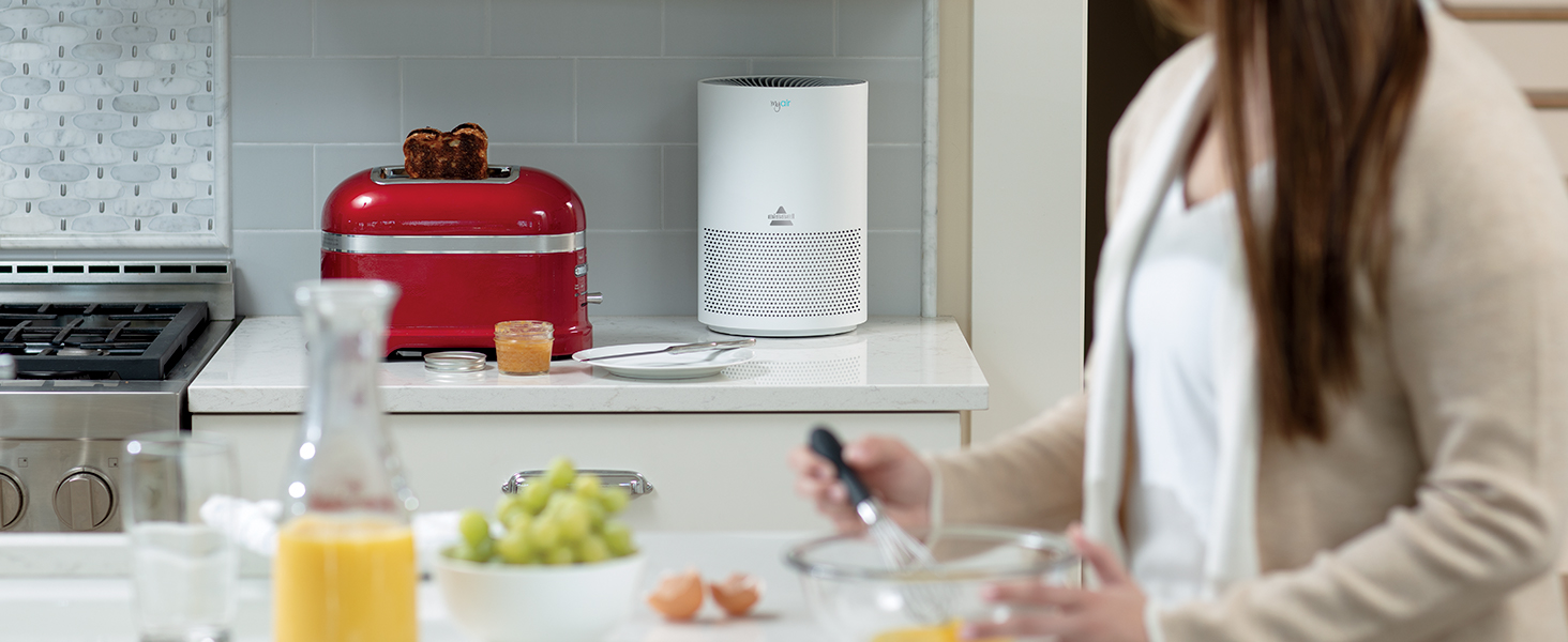 BISSELL (2801 MYair Personal Air Purifier Replacement