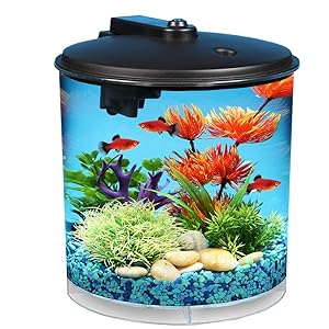 fish tank aquarium