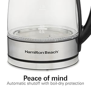 variable temp electric kettle