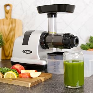 大幅値下！Omega 8006 ジューサー ステンレススチール Omega All in One Nutrition System Cold Press Juicer (J8006