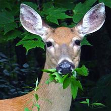 Small manufacture image 4