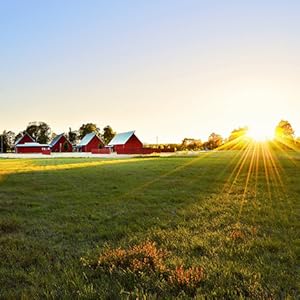 fence wire, poly wire, poly products, electric fencing, zareba, six conductors, yellow, black, horse