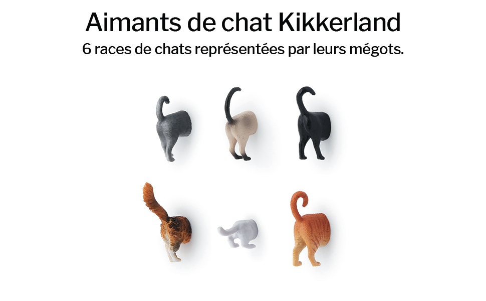 Kikkerland Mg53 Lot De 6 Aimants Derriere De Chat Vinyle Sans Phtalate Multicolore 18 29 X 12 95 X 2 79 Cm Amazon Fr Cuisine Maison Kikkerland Mg53 Lot De 6 Aimants Derriere De Chat Vinyle Sans Phtalate Multicolore 18 29 X 12 95 X 2 79 Cm Amazon Fr Cuisine Maison