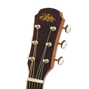 Amazon.com: Aria Vintage 100 Series 6 String Dreadnought Acoustic