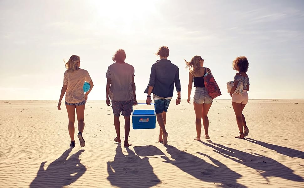 Chiller Ice Packs - 16 Litres cello, ice pack, chiller, storage, ice,