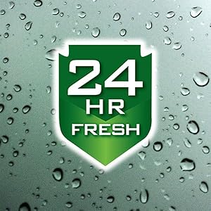 24 Hr Fresh