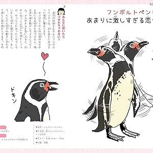 いきもの、動物に関する本　２３冊セット もっととにかくかわいいいきもの図鑑 | 今泉忠明 |本 | 通販