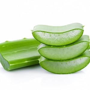 Optima – Colours of life – Compléments