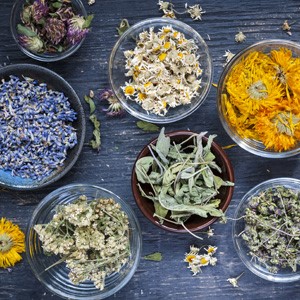 Stock botanical herbs laydown photo