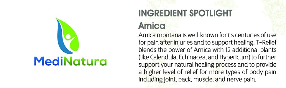 arnica ingredient spotlight montana homeopathy medicine healing remedy