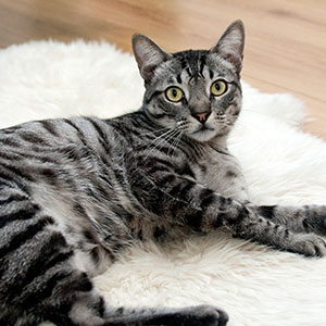 Small manufacture image 8