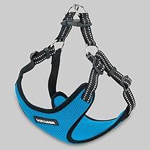 Voyager Dog Harness All Weather Mesh | Dog Harness