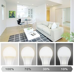 ６個まとめ売り！バラ売り可！IRIS LDA9D/L-G/D-86AITG LED電球 E26 広配光 60形相当 冷暖調色 AIスピーカー LDA9D/L-G