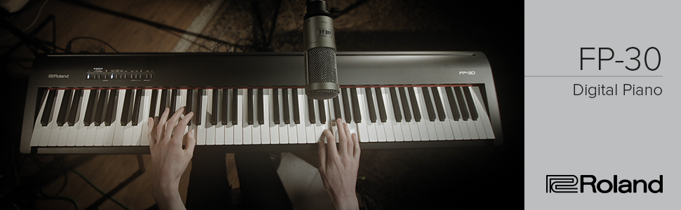 FP-30 Header