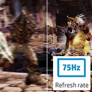 75Hz