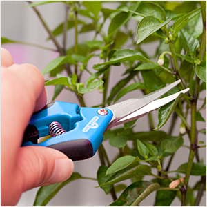 Small manufacture image 4