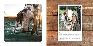 The Little Book of Goat Yoga: Poses and Wisdom to Inspire Your Practice 11 The Little Book of Goat Yoga