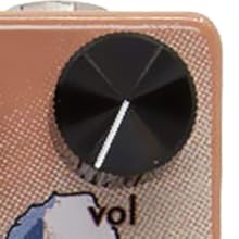 Amazon.com: Walrus Audio Kangra Filter Fuzz : Musical