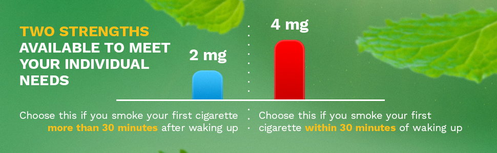  Nicorette Nicotine - Chicle para dejar de fumar, 160 unidades,  SPB1, 4 mg, NA, 1 : Salud y Hogar