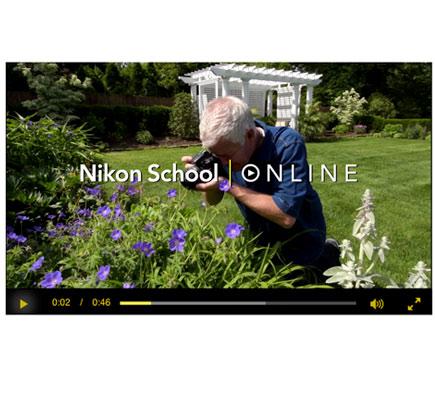 Amazon.com : Nikon Landscape & Macro Two Lens Kit with 10