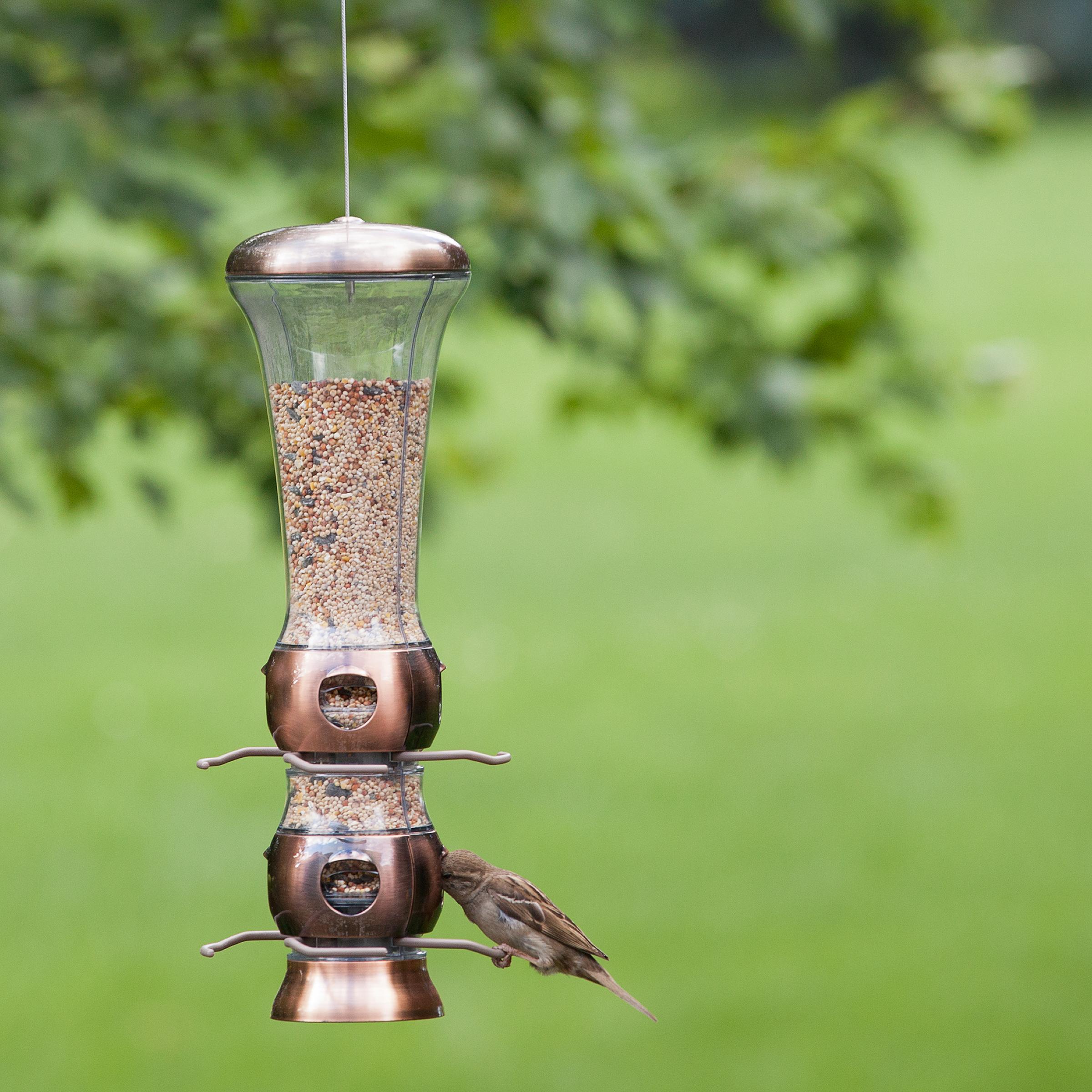 PerkyPet 1124 Garden Song SelectaBird Tube Feeder with Metal Finish