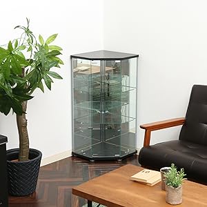 Amazon.co.jp: 不二貿易 コレクションケース フィギュアケース 3