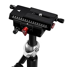 Amazon | 【 国内正規品 】 iFootage スタビライザー Wild CaTⅢ