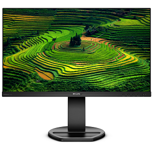 Amazon.com: Philips 241B8QJEB 24