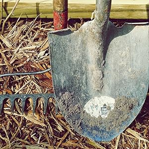 old farmer's almanac