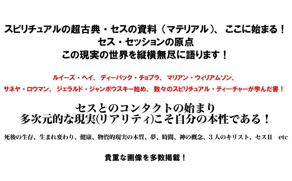個人的現実の本質 : セス・ブック : 日々の問題を解決し、人生を豊かにするた… セス・ブック 個人的現実の本質 日々の問題を解決し、人生を豊か