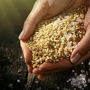 biozentrale Reiswaffeln Meersalz