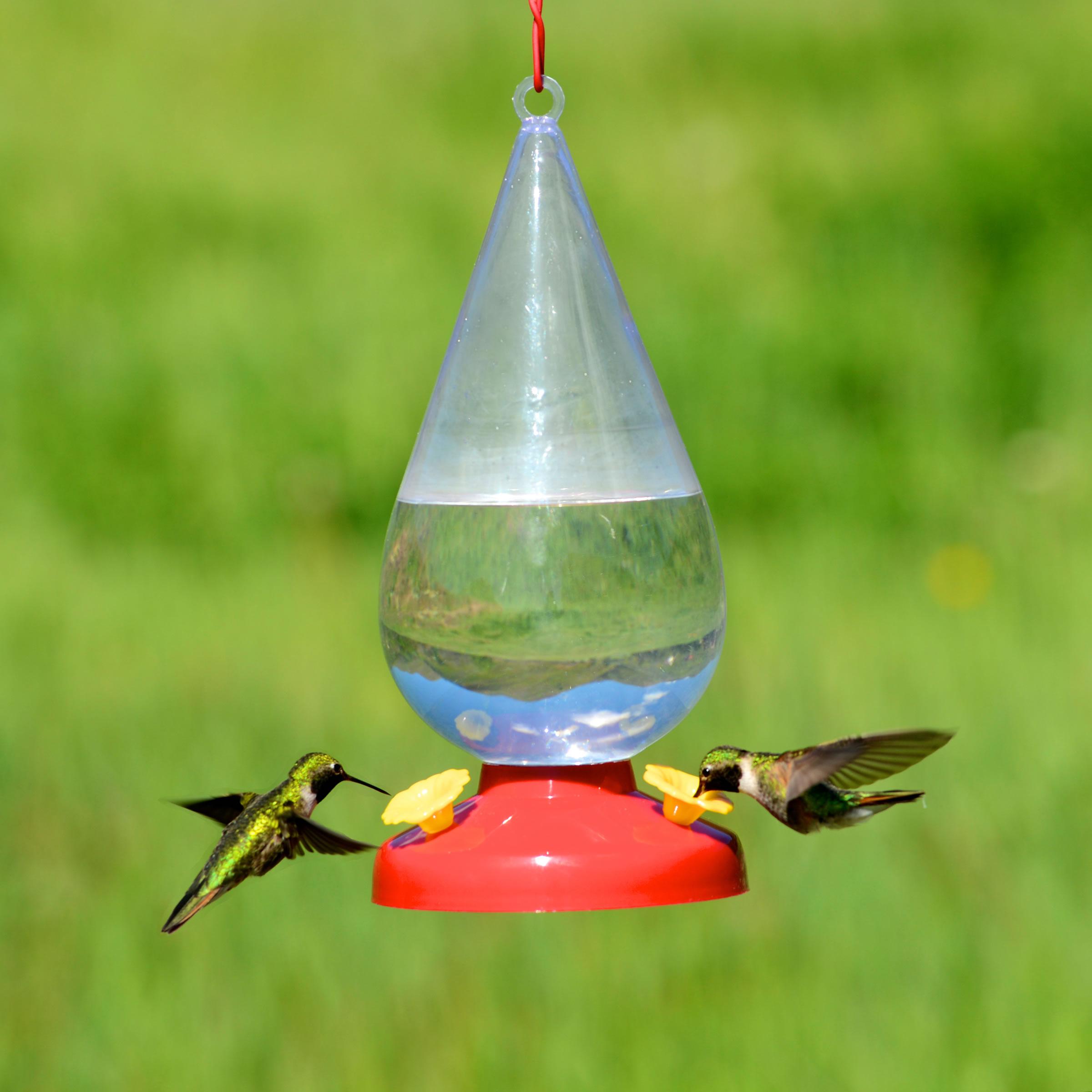 PerkyPet Dew Drop 32Ounce Plastic Hummingbird Feeder