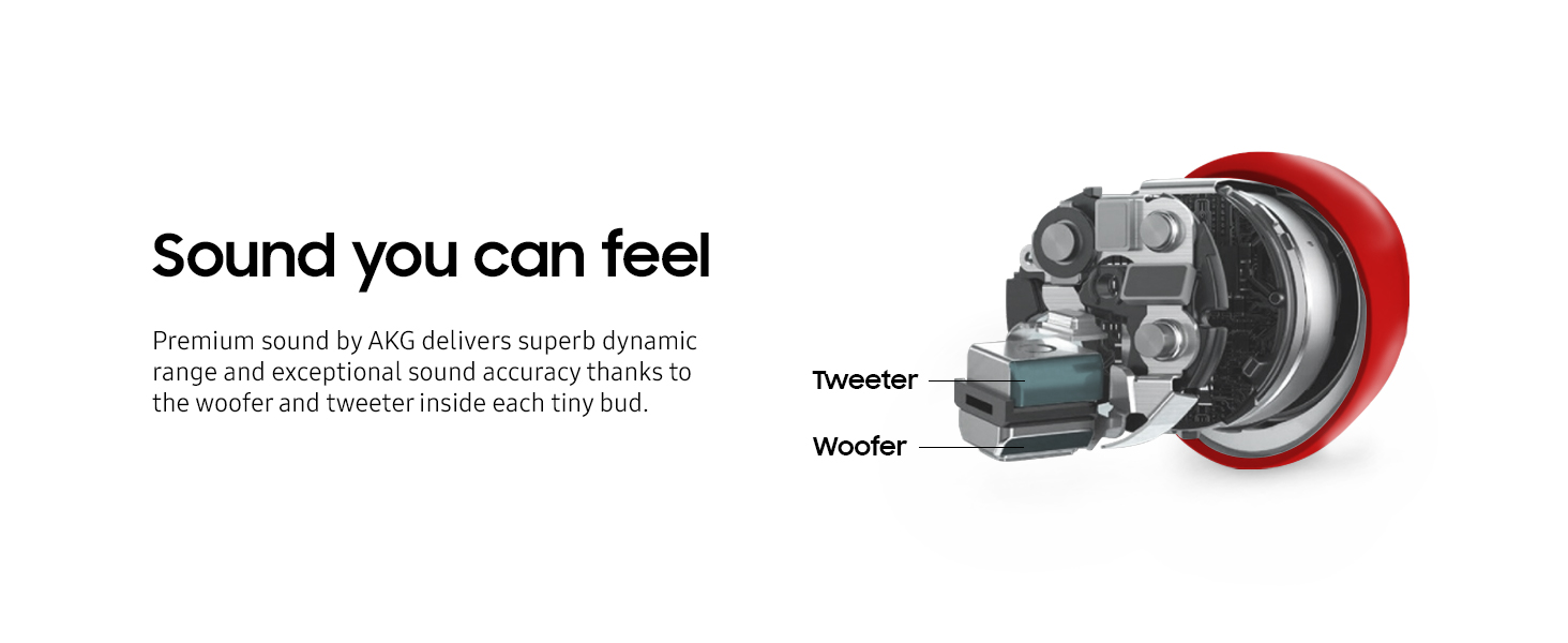 buds_plus_red_tweeter_woofer_desktop