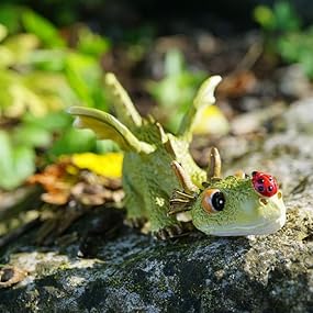 4414 Miniature fairy Garden terrarium mini dragon fantasy playing with ladybug