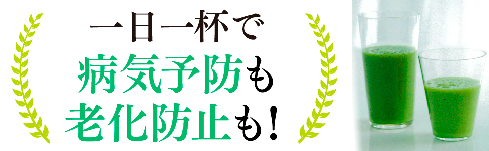 一日 一杯 病気予防 老化防止 グリーンスムージー