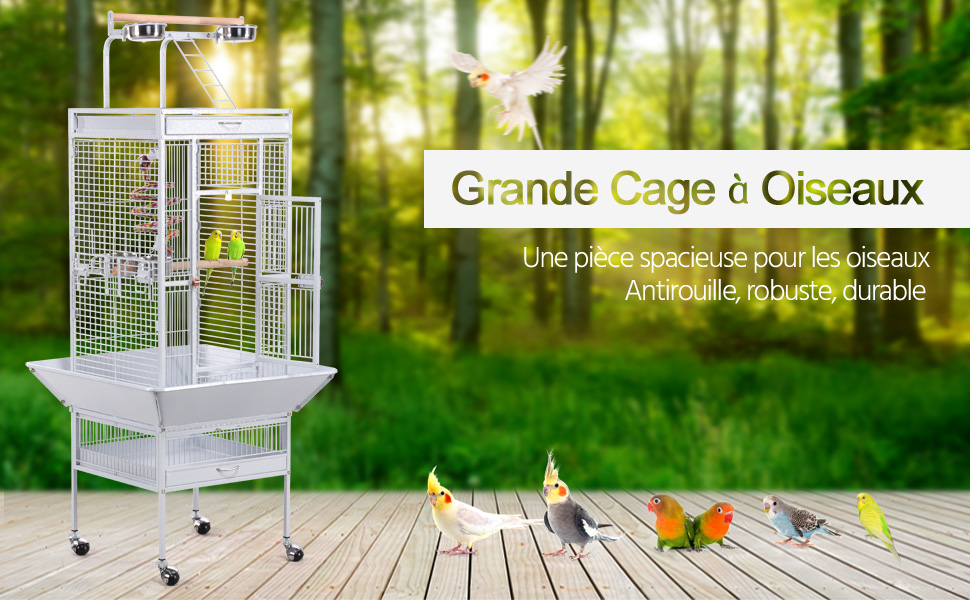 Yaheetech Grande Cage Perroquet Volière Spacieuse Pour Oiseaux Cacatoès Perruches 655 X 655 X 156 Cm Total Blanc