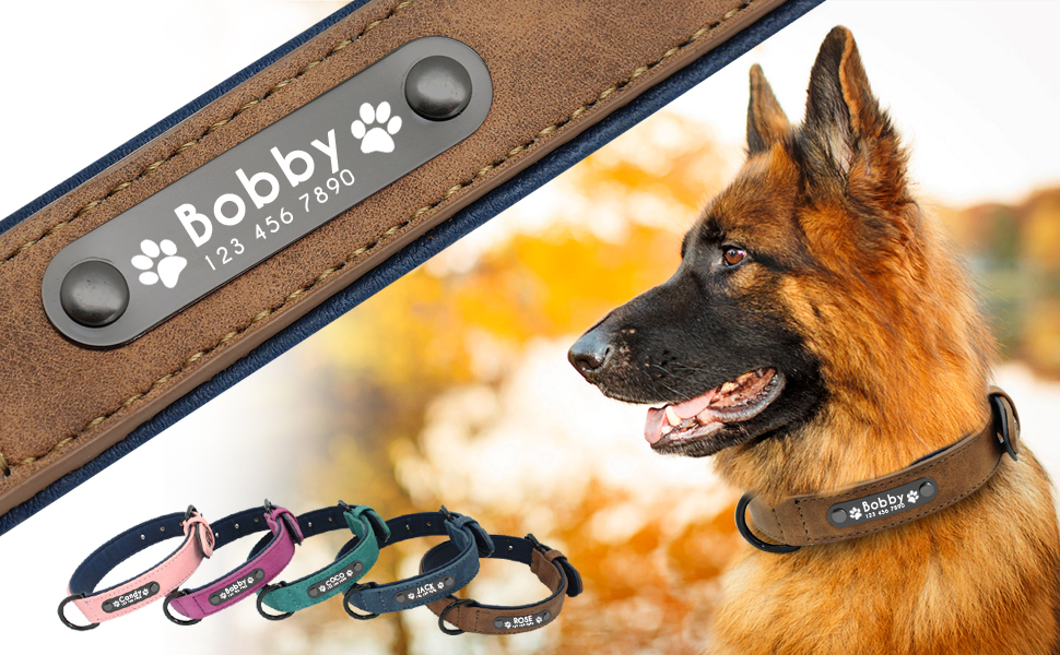 Didog Soft Leather Padded Custom Dog Collar with Personalized Nameplate