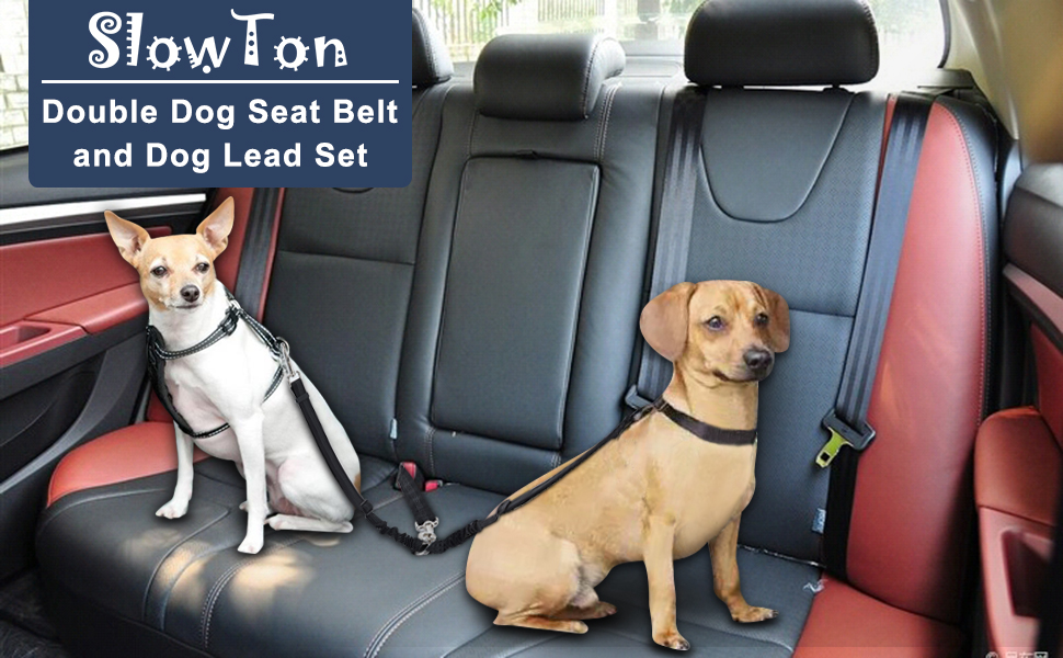 SlowTon Double Dog Leash and Seatbelt Set, Dual Detachable Pet Lead for