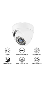 Dome Security Camera-D2W