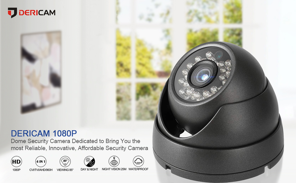 Dericam 1080P Dome Security Camera