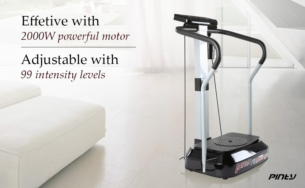Pinty 2000W Whole Body Vibration Platform Exercise Fitness Machine Fit