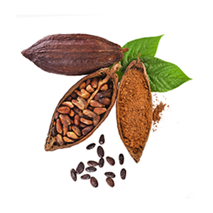 Cocoa Extract