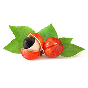 Guarana extract