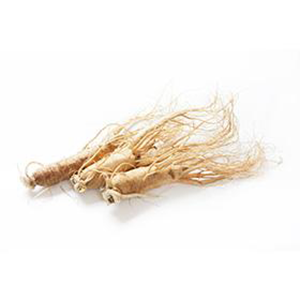 Ginseng