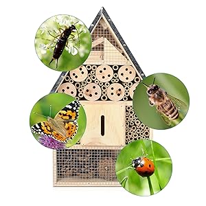 variety of bug species attracted to insect hotel