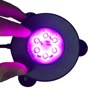 air bubble light