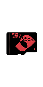 256gb micro sd card