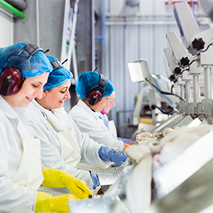Small manufacture image 7
