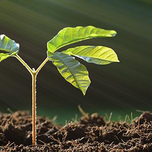 Small manufacture image 9